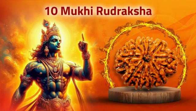 Ten Mukhi 10 Face Rudraksha Collections - Rudra Kailash