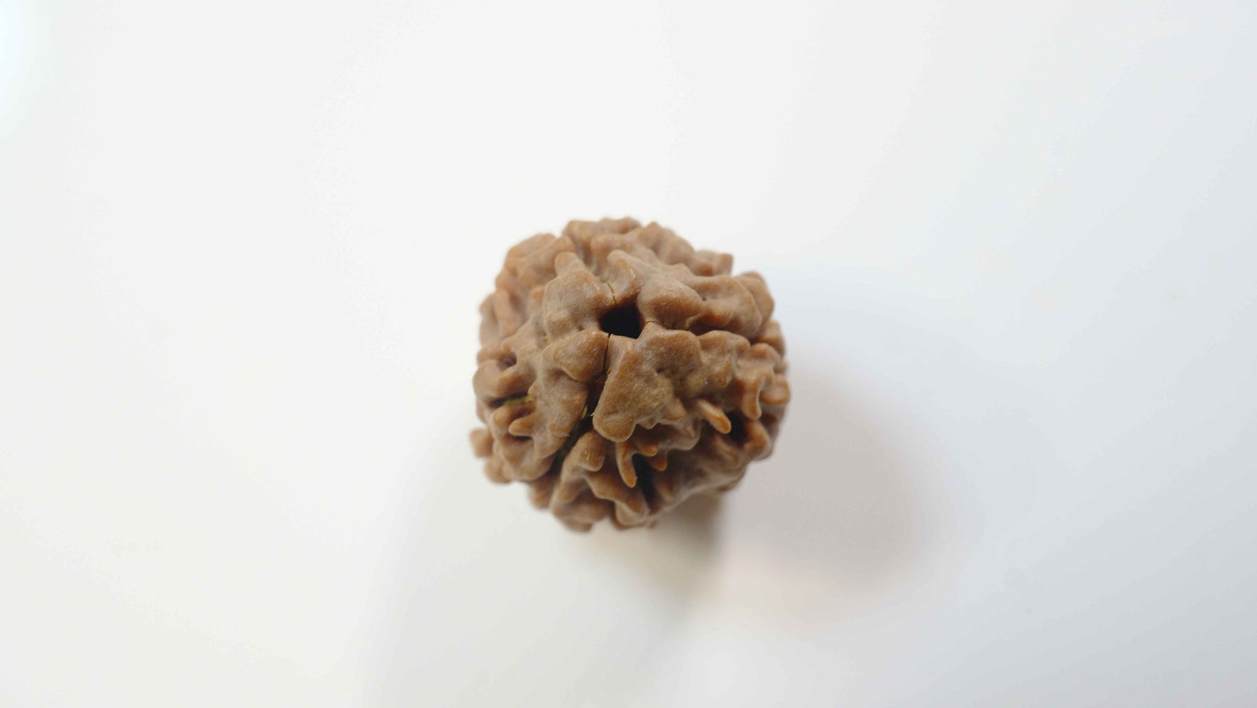 3 Mukhi Rudraksha Benefits: Activate Your Inner Fire and Courage