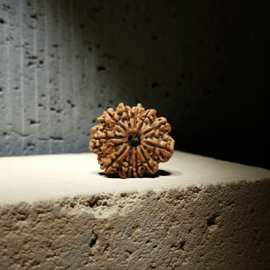11 Mukhi Rudraksha Benefits, Significance And How To Wear