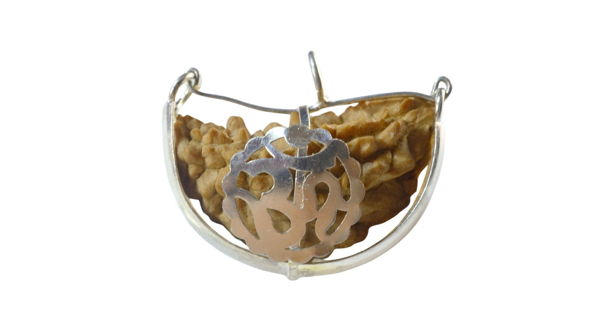 Mukhi Half-Moon Rudraksha: The Rameshwaram Bead, Honestly Explained