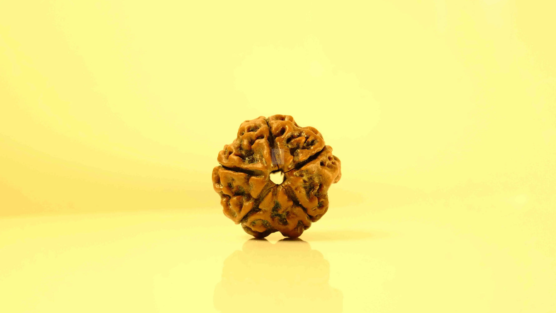 How to Identify Authentic Rudraksha: A Practical Guide