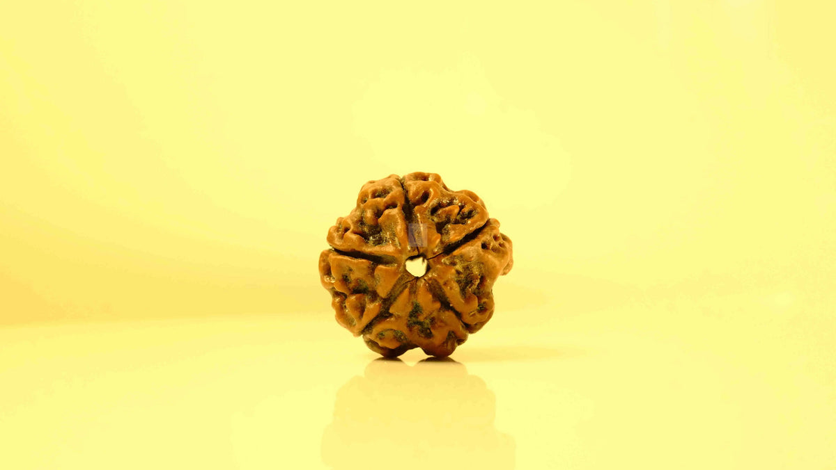 How to Identify Authentic Rudraksha: A Practical Guide