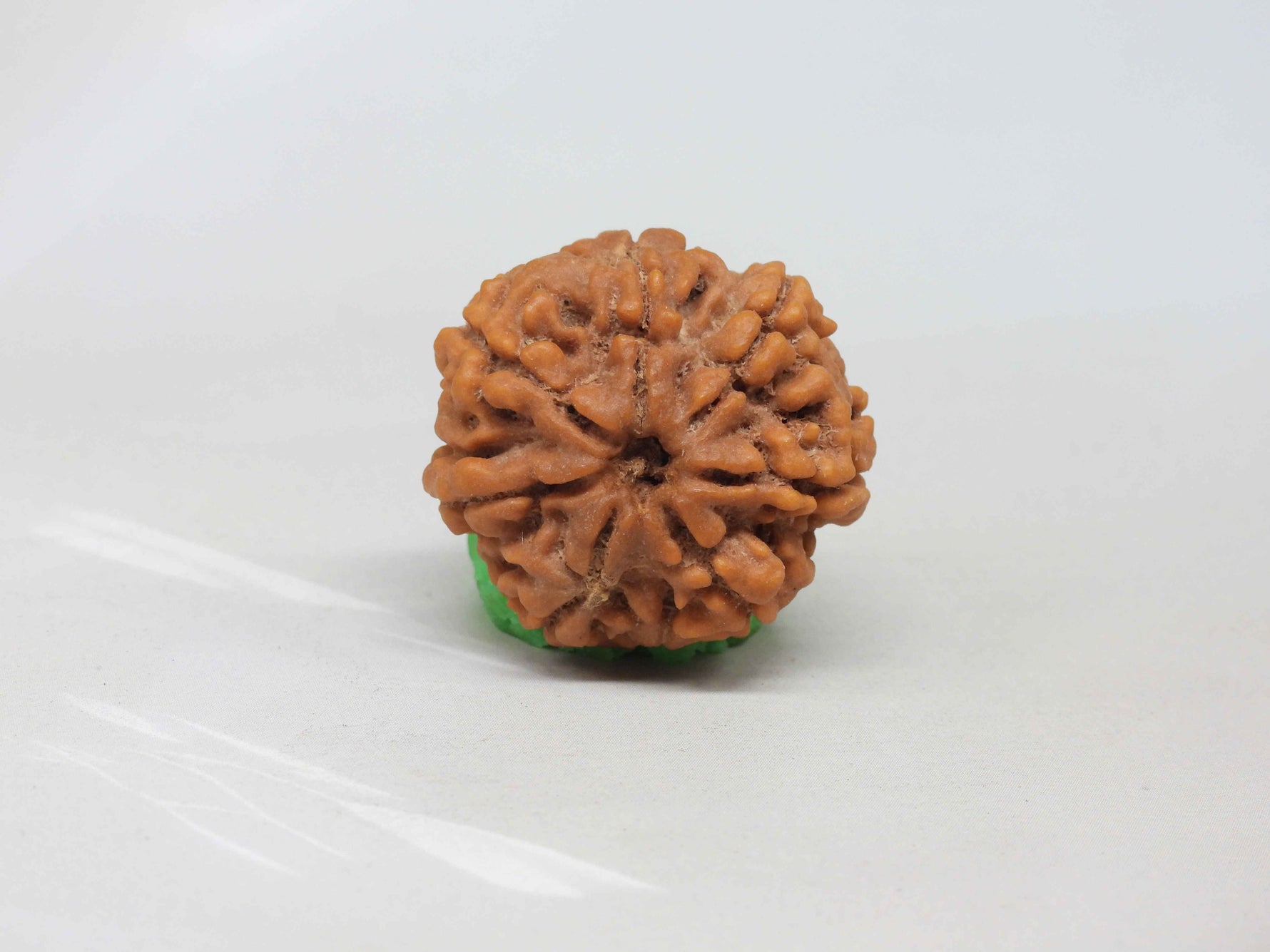 7 Mukhi Rudraksha: Benefits, Who Should Wear It and How to Test if It's Authentic