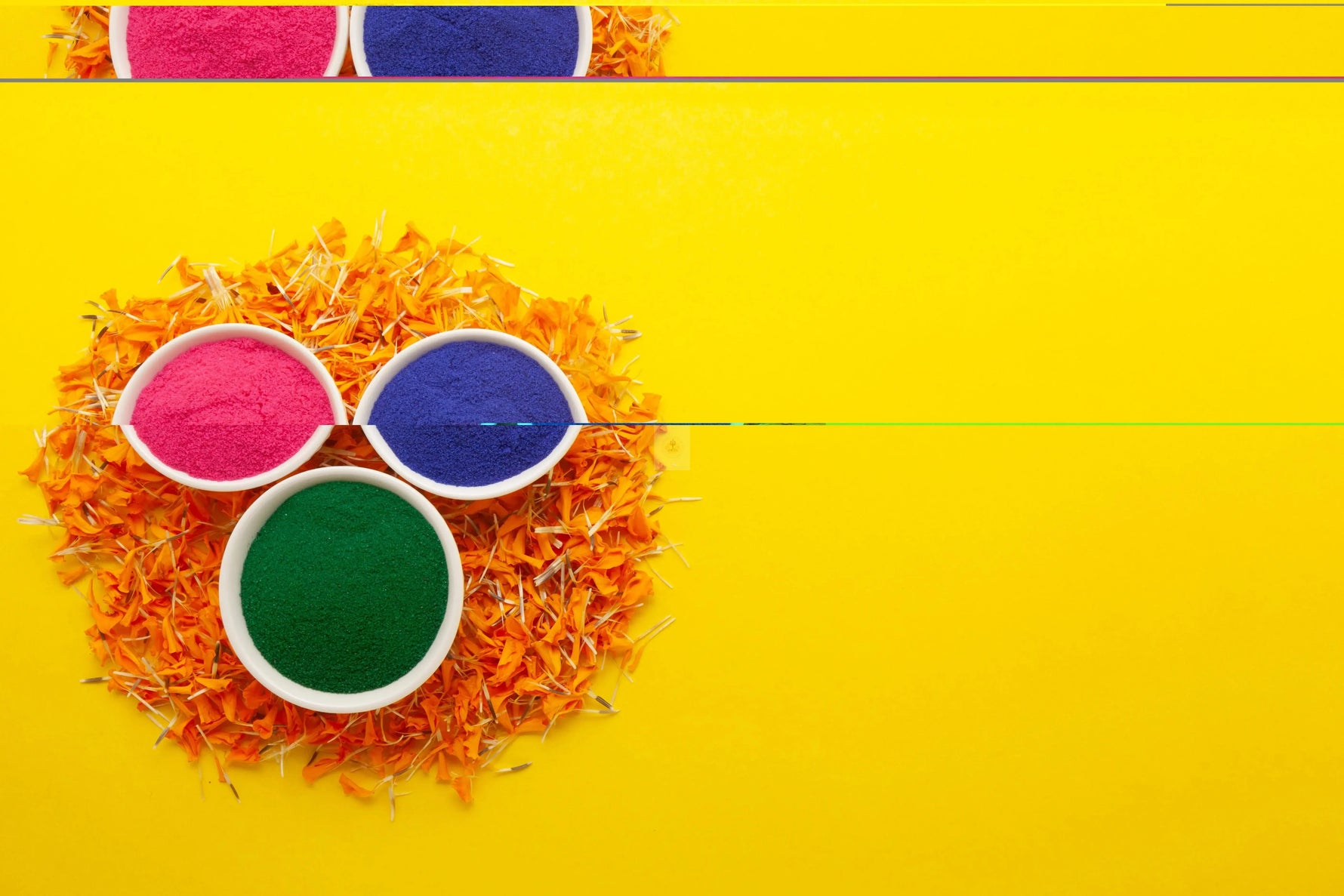 All the information you want to know about Holi Festival