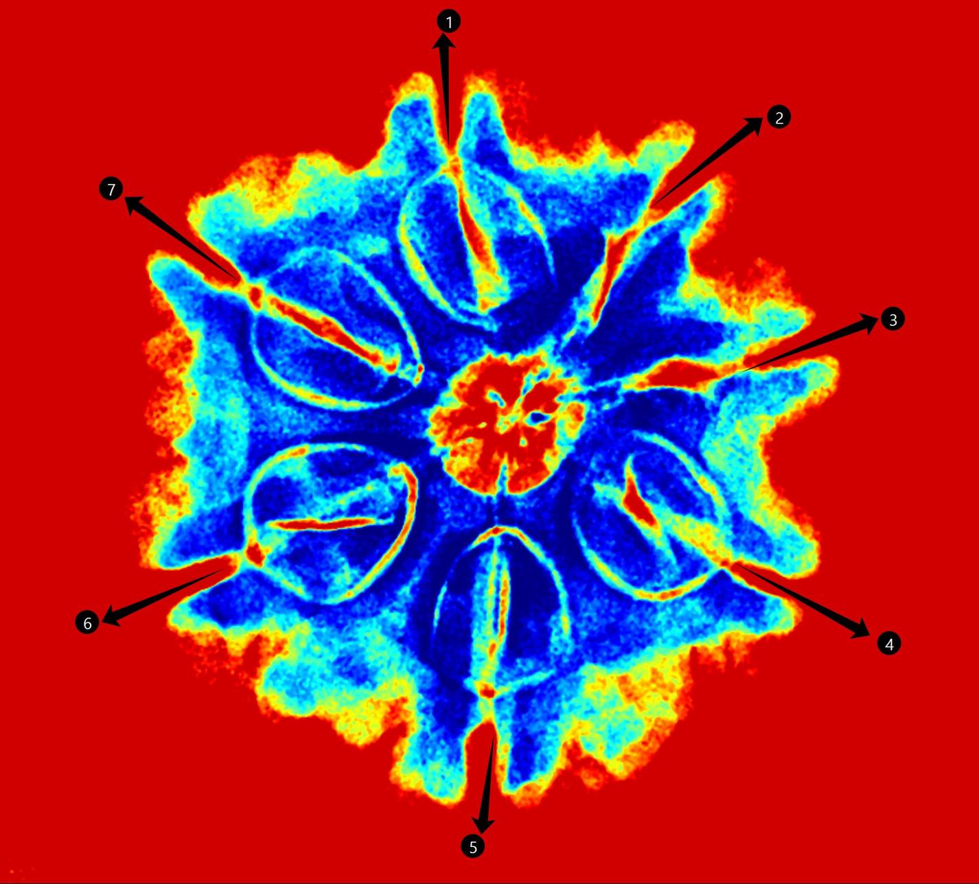 Pseudo color X-Ray