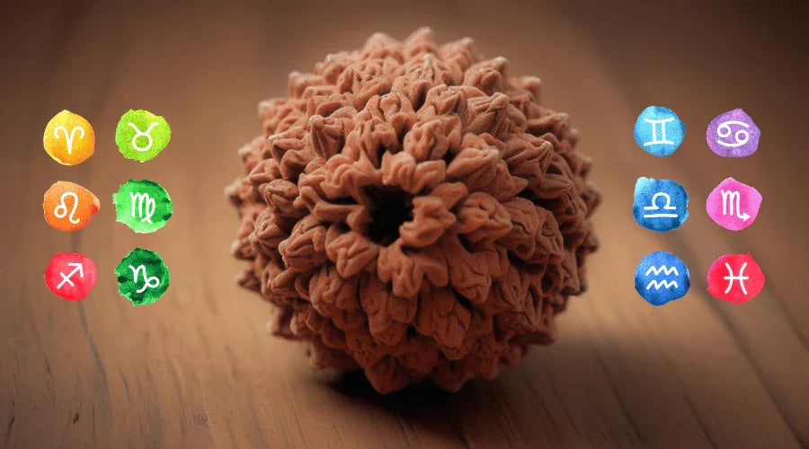 Choose the Perfect Rudraksha According to Rashi - Rudra Kailash