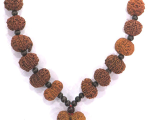 1 Mukhi -14 Mukhi |  Nepali Rudraksha Siddha Kantha Mala Collection - Rudra Kailash