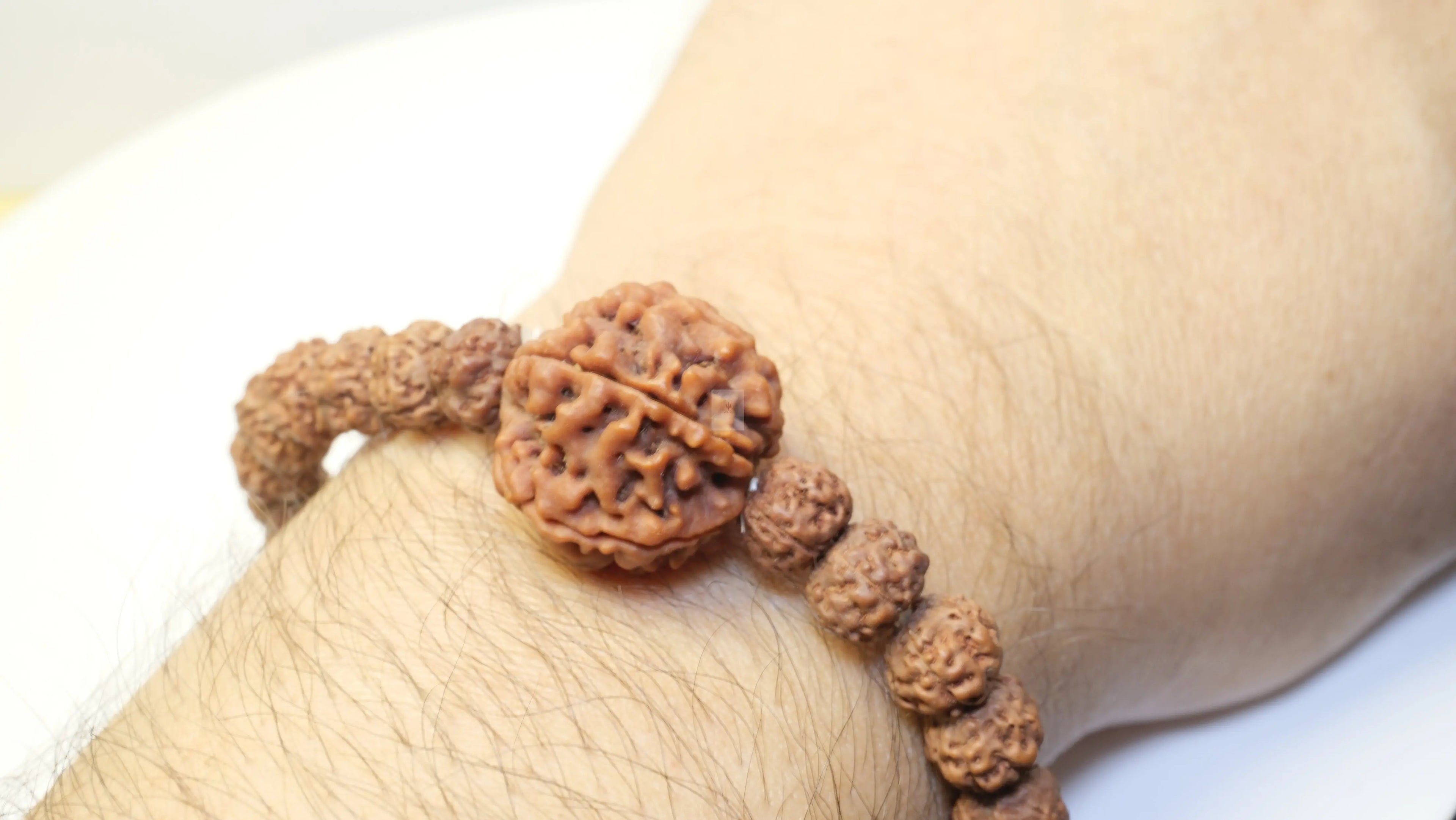 Beginners Rudraksha Bracelet Collection Rudra Kailash