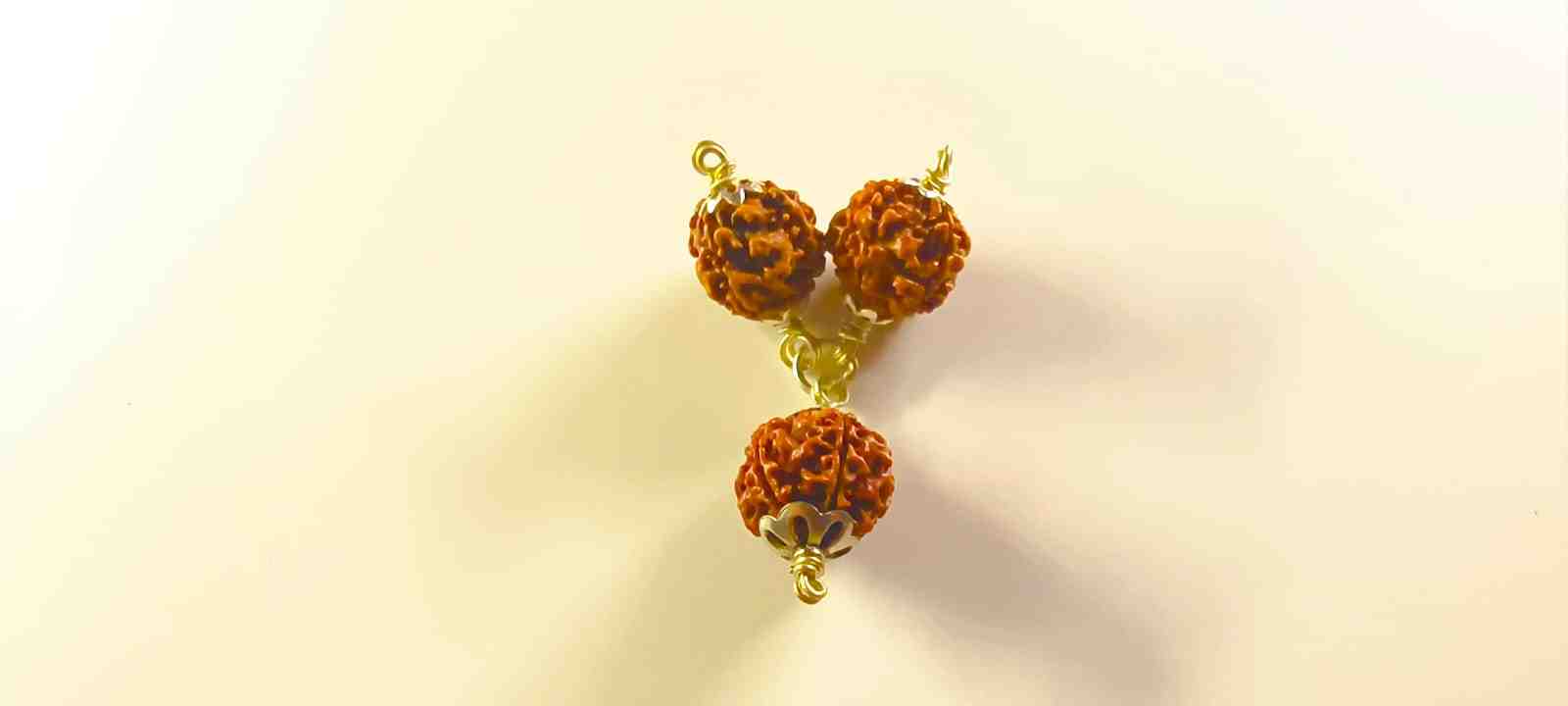 Rudraksha Kavach