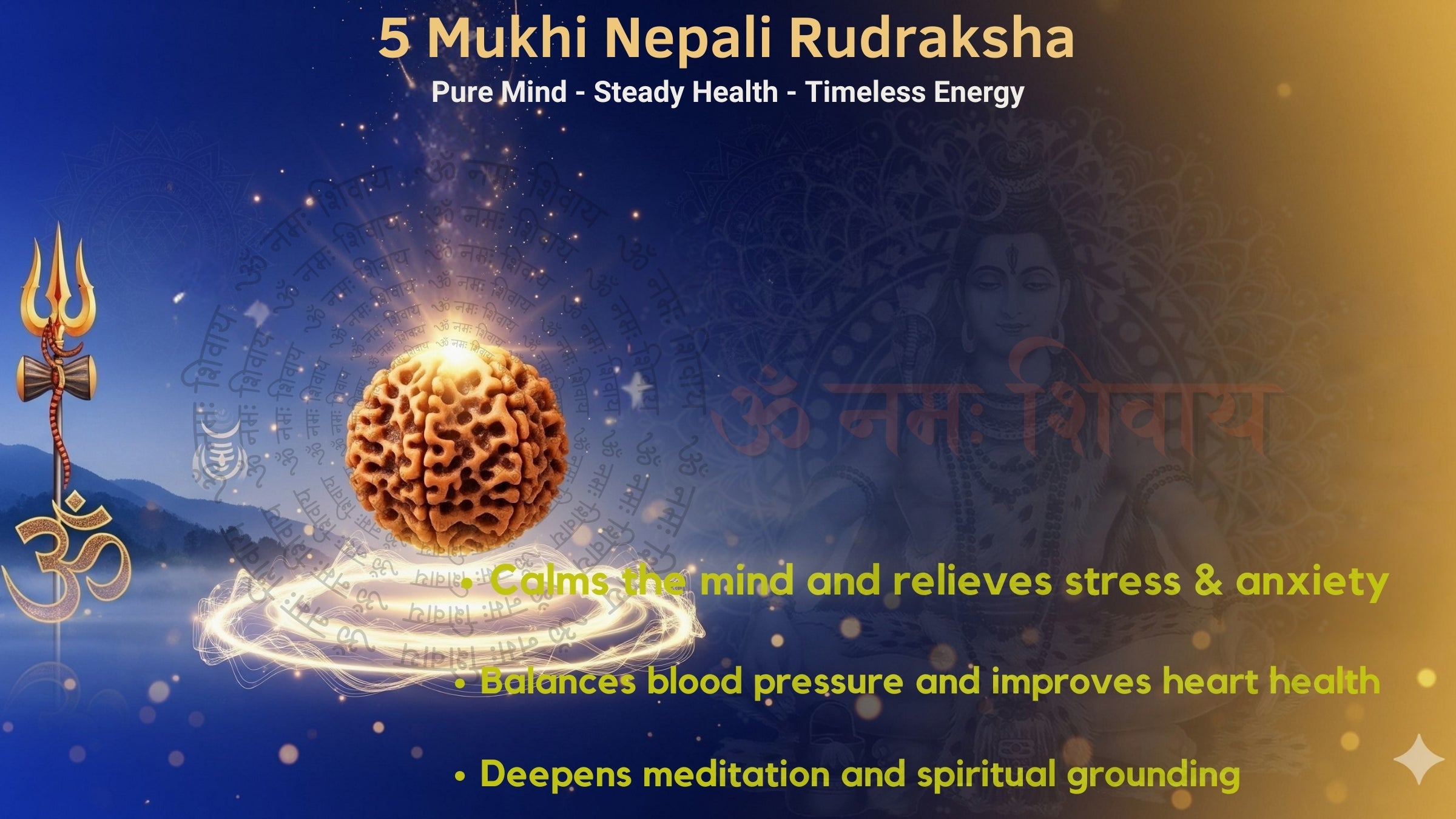 Five Mukhi 5 Face Panch Mukhi Rudraksha - Collections - Rudra Kailash
