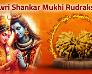 Gowri Shankar Rudraksh - Rudra Kailash
