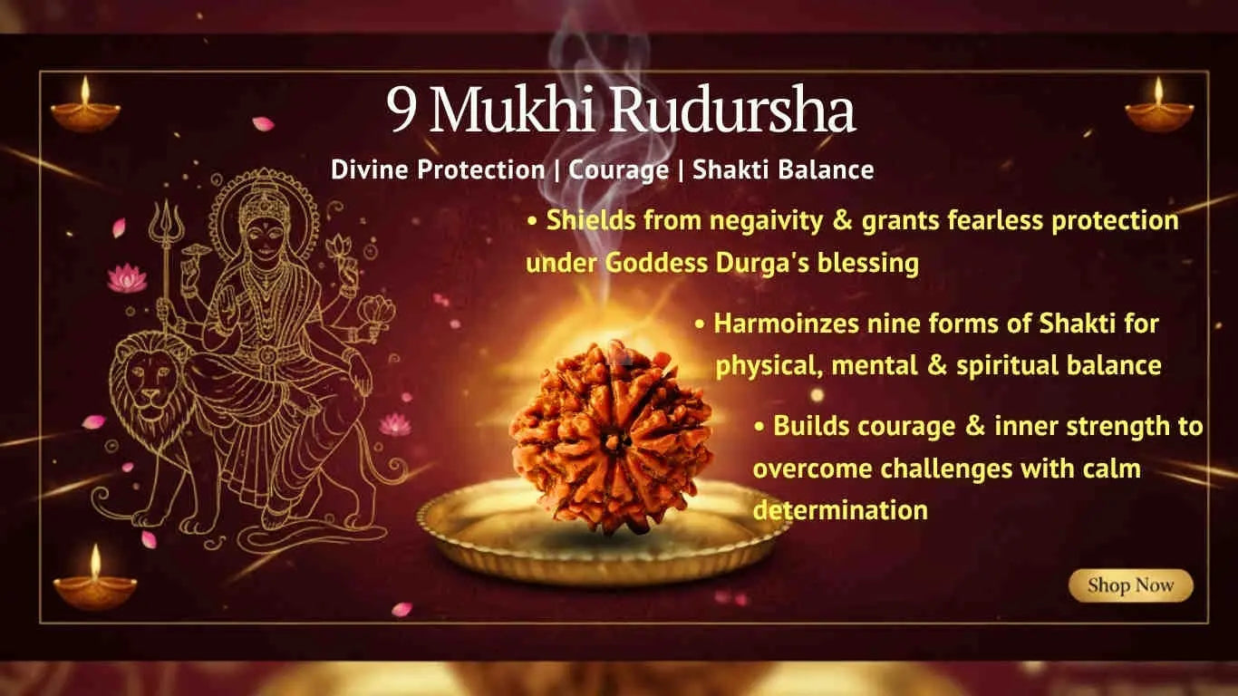 Nine Mukhi 9 Face Rudraksha - The Goddess Durga Power - Rudra Kailash