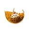 One Mukhi 1 Face Rudraksha-Collection - Rudra Kailash