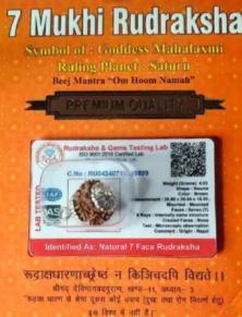 Packaged - Premium Rudraksha Mukhis - Rudra Kailash