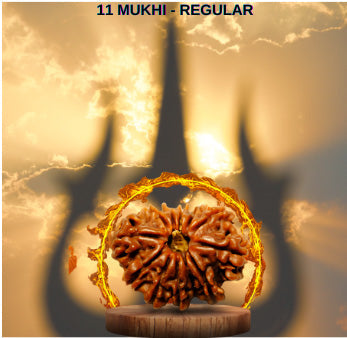 Rudraksha Collections - Rudra Kailash