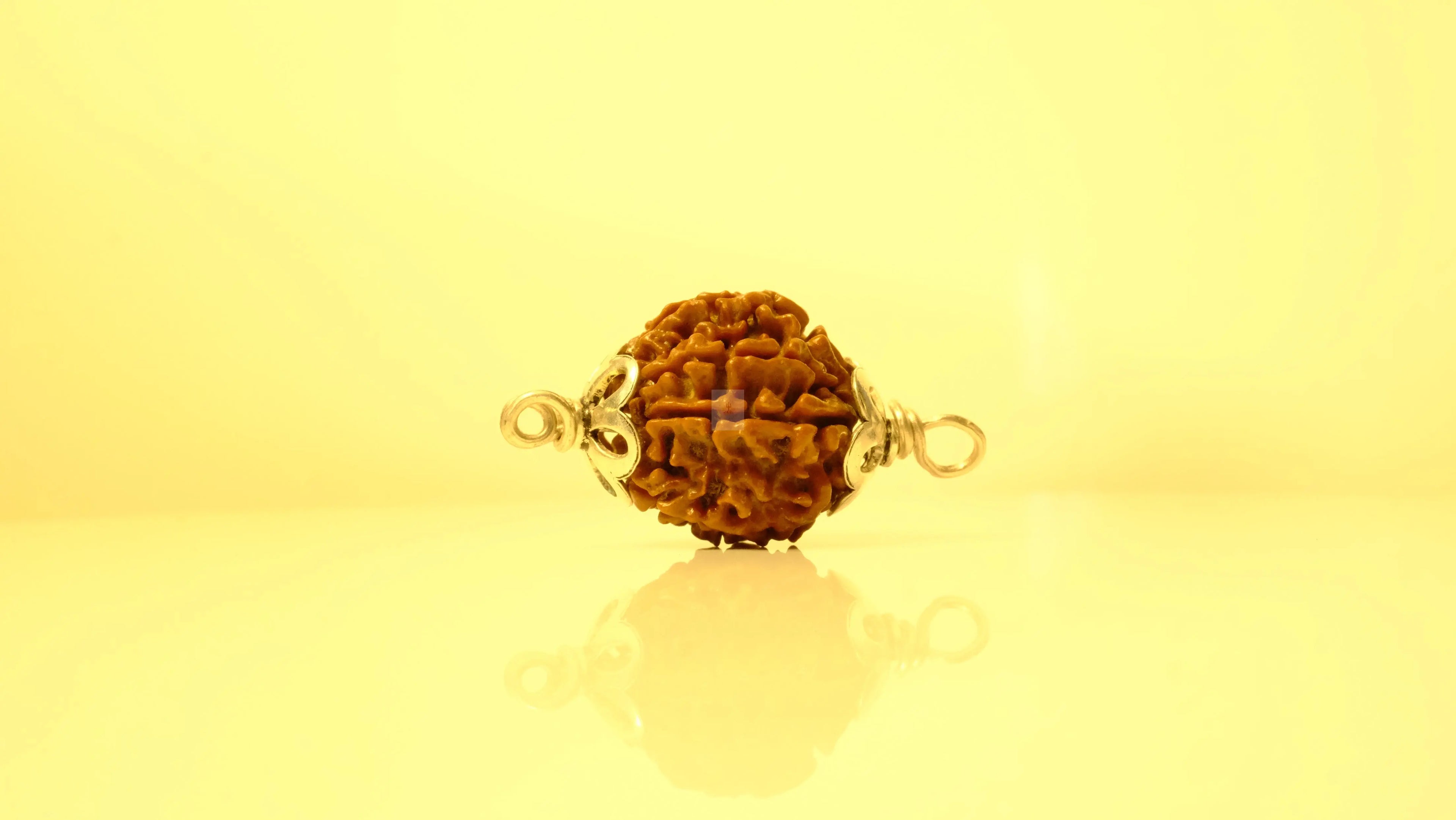 Rudraksha With Silver Capping - Rudra Kailash
