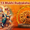 Thirteen Mukhi 13 Face Rudraksha - Collection - Rudra Kailash