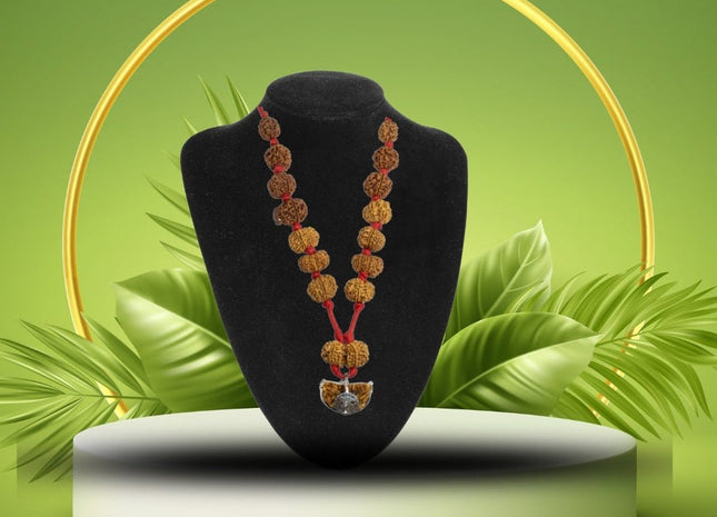 1 Mukhi to 14 Mukhi Nepali Sidha Mala with Ganesh Mukhi and Gowri Shankar Mukhi - Rudra Kailash