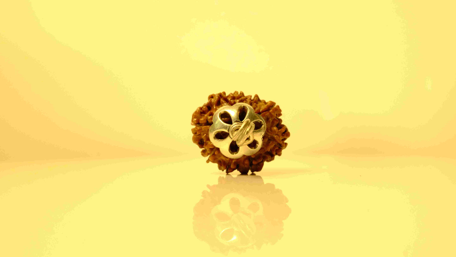 10 Mukhi Nepali Rudraksha with Silver Capping