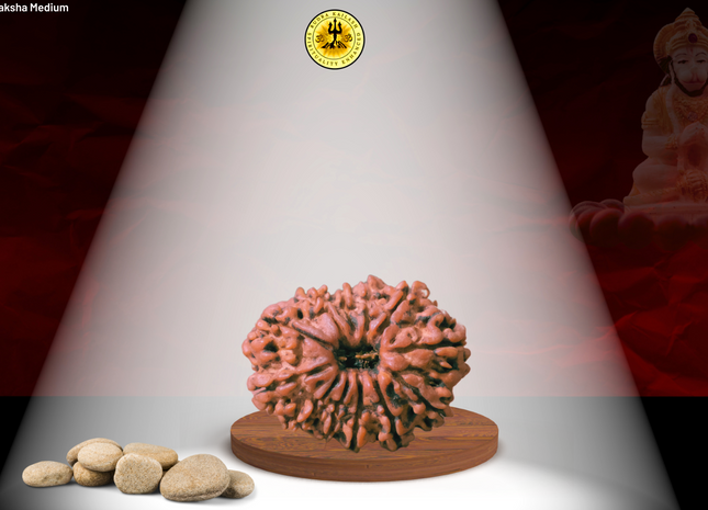 Unveiling 11 Mukhi Rudraksha Benefits – Discover the Power of Hanuman's Blessing