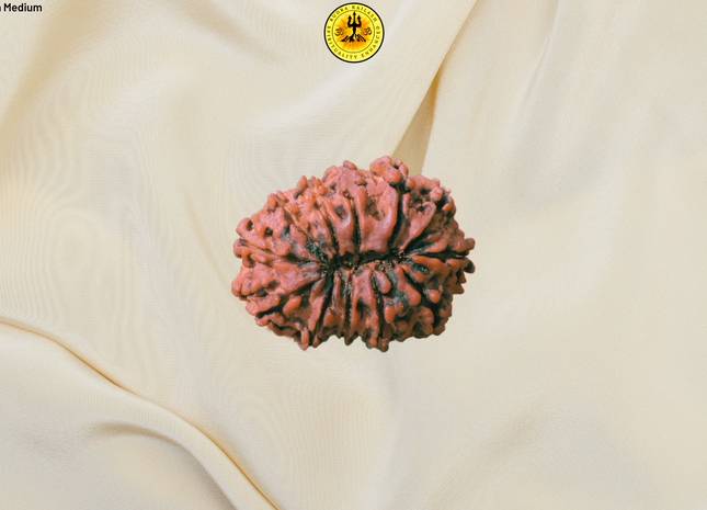Unveiling 11 Mukhi Rudraksha Benefits – Discover the Power of Hanuman's Blessing