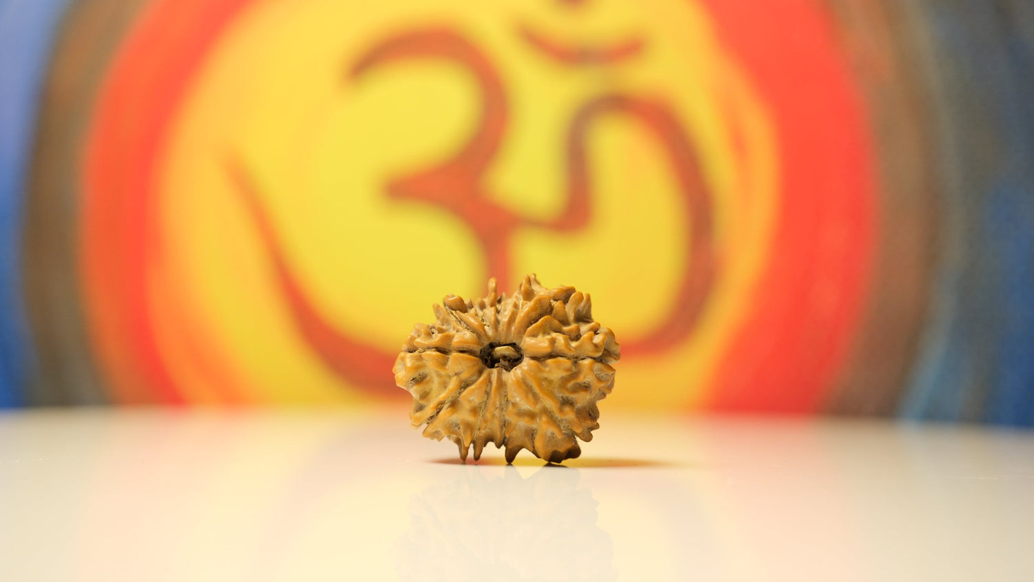 11 Mukhi Nepali Rudraksha With Lab Certification Regular - I