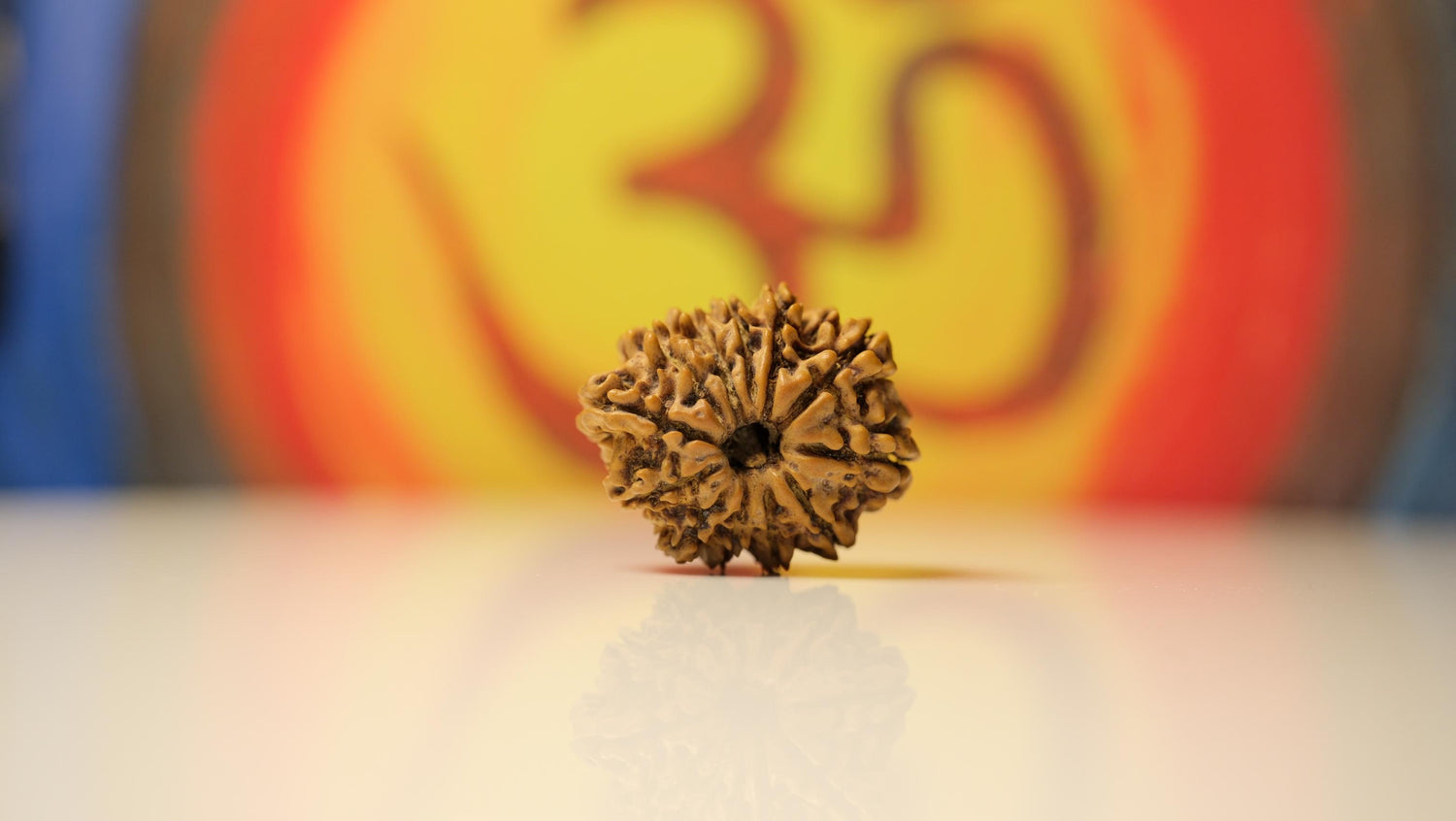 12 Mukhi Rudraksha