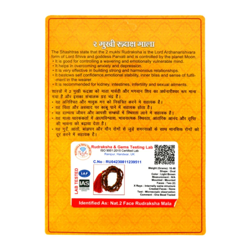 2 Mukhi Two Face Indonesian Rudraksha Mala - Unity, Balance & Divine Connection - Rudra Kailash