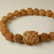 Two Mukhi 2 Face Rudraksh Bracelet