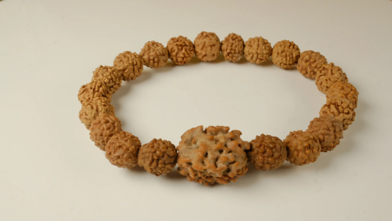 Two Mukhi 2 Face Rudraksh Bracelet