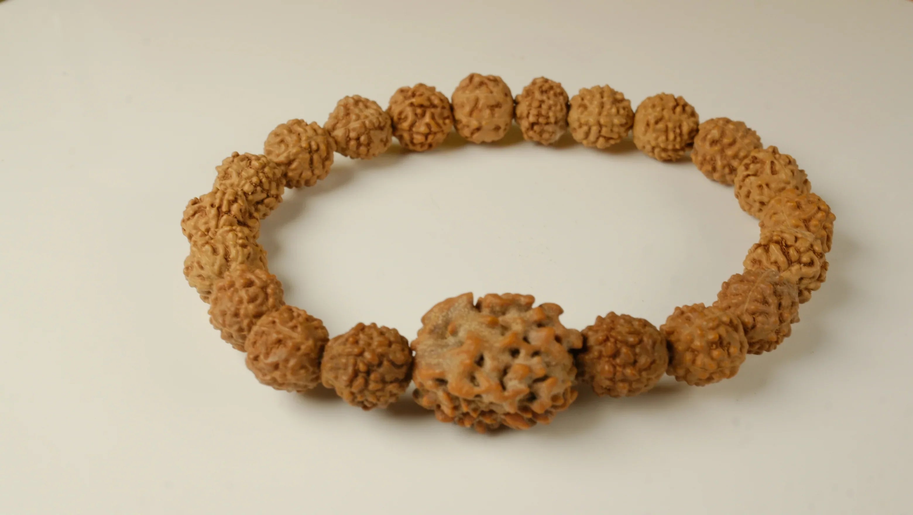 Two Mukhi 2 Face Rudraksh Bracelet