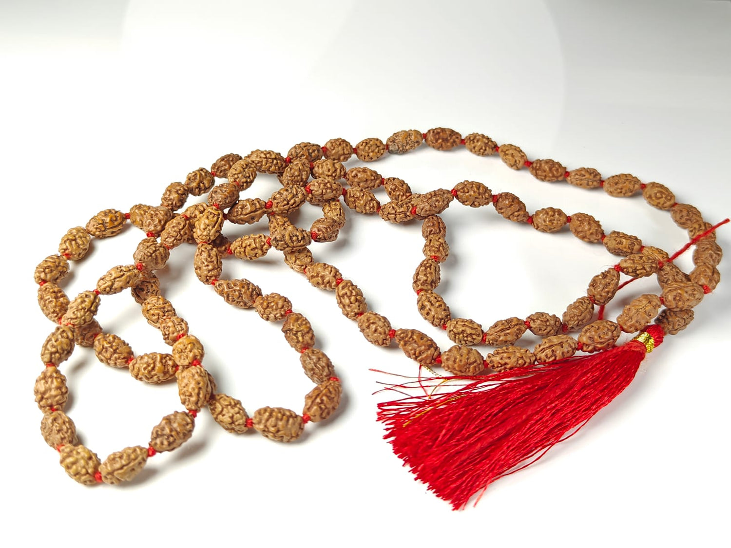2 Mukhi Rudraksha Mala