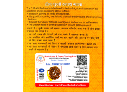 3 Mukhi Three Face Indonesian Rudraksha Mala – Release Negativity & Boost Confidence - Rudra Kailash