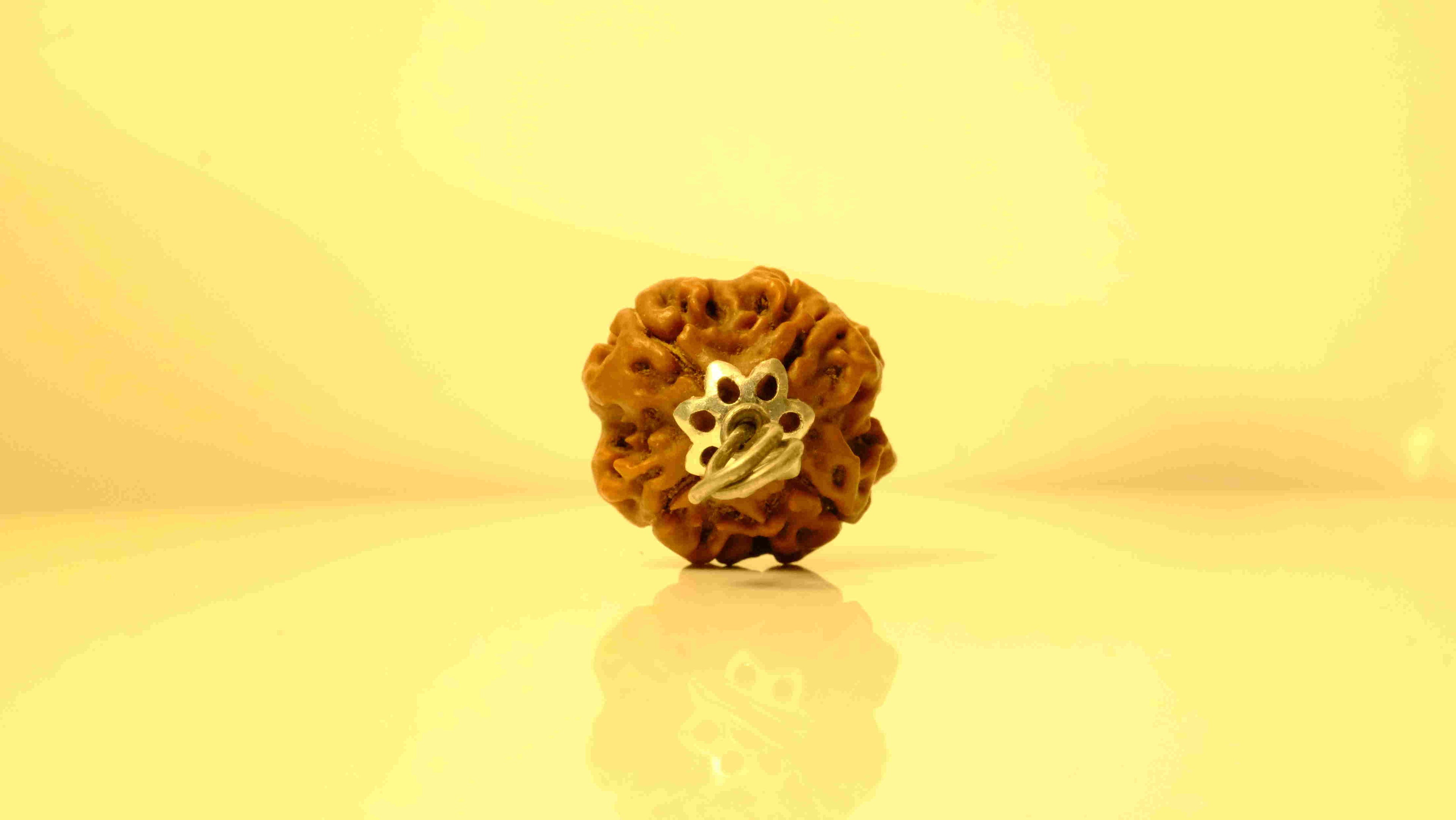 4 Mukhi Nepali Rudraksha with Silver Capping
