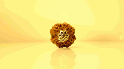 4 Mukhi Nepali Rudraksha with Silver Capping Rudra Kailash