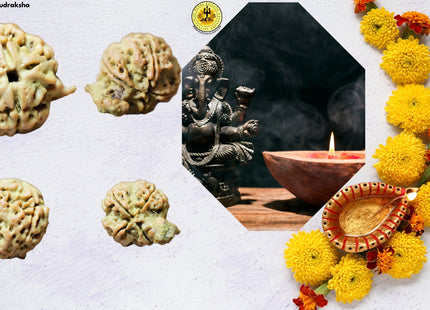 4 Mukhi Ganesh Rudraksha, Double Blessings, Double Power, Double Protection