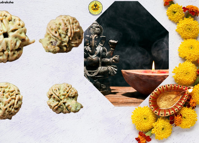 4 Mukhi Ganesh Rudraksha, Double Blessings, Double Power, Double Protection