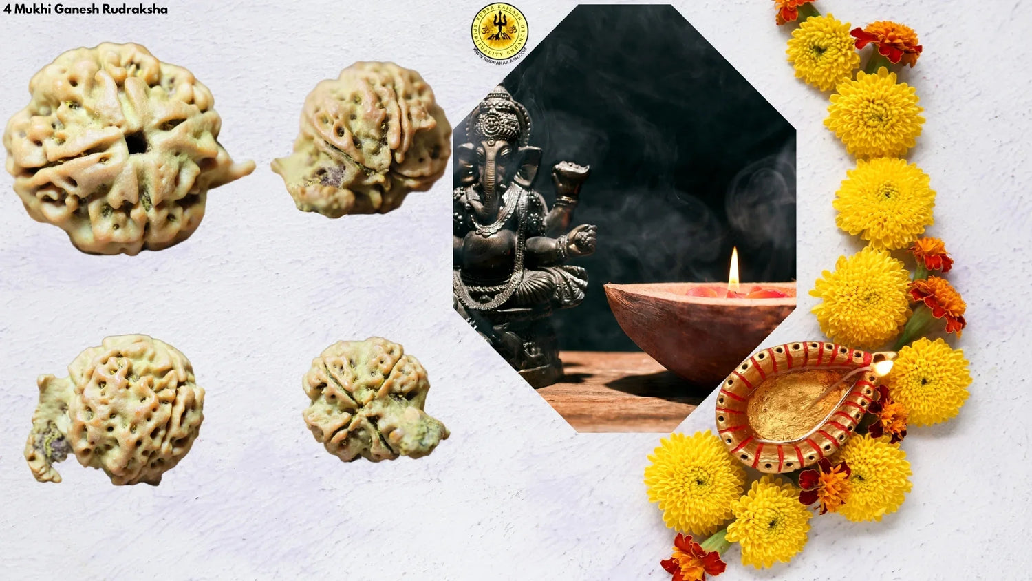 4 Mukhi Ganesh Rudraksha, Double Blessings, Double Power, Double Protection
