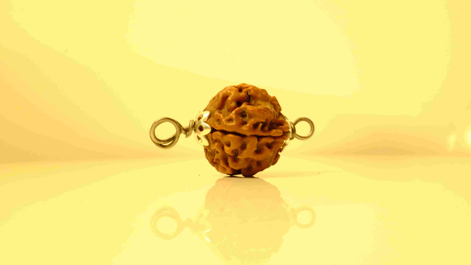 4 Mukhi Nepali Rudraksha with Silver Capping