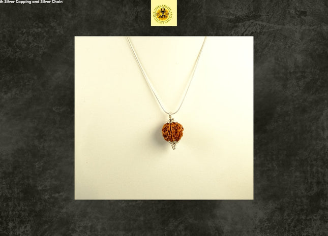5 Mukhi Rudraksha With Silver Capping & Silver Chain - Rudra Kailash