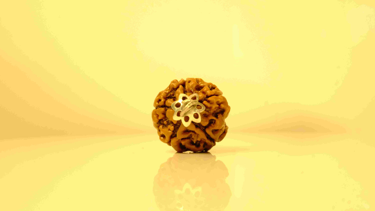 5 Mukhi Nepali Rudraksha with Silver Capping