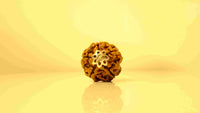 5 Mukhi Nepali Rudraksha with Silver Capping