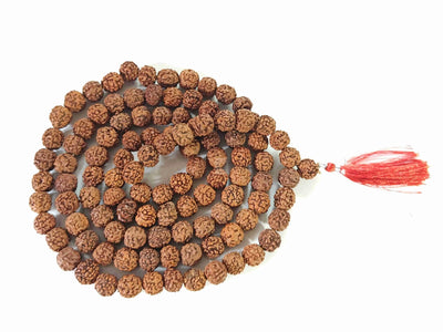 5 Mukhi Rudraksha Mala 11mm-12mm Rudra Kailash