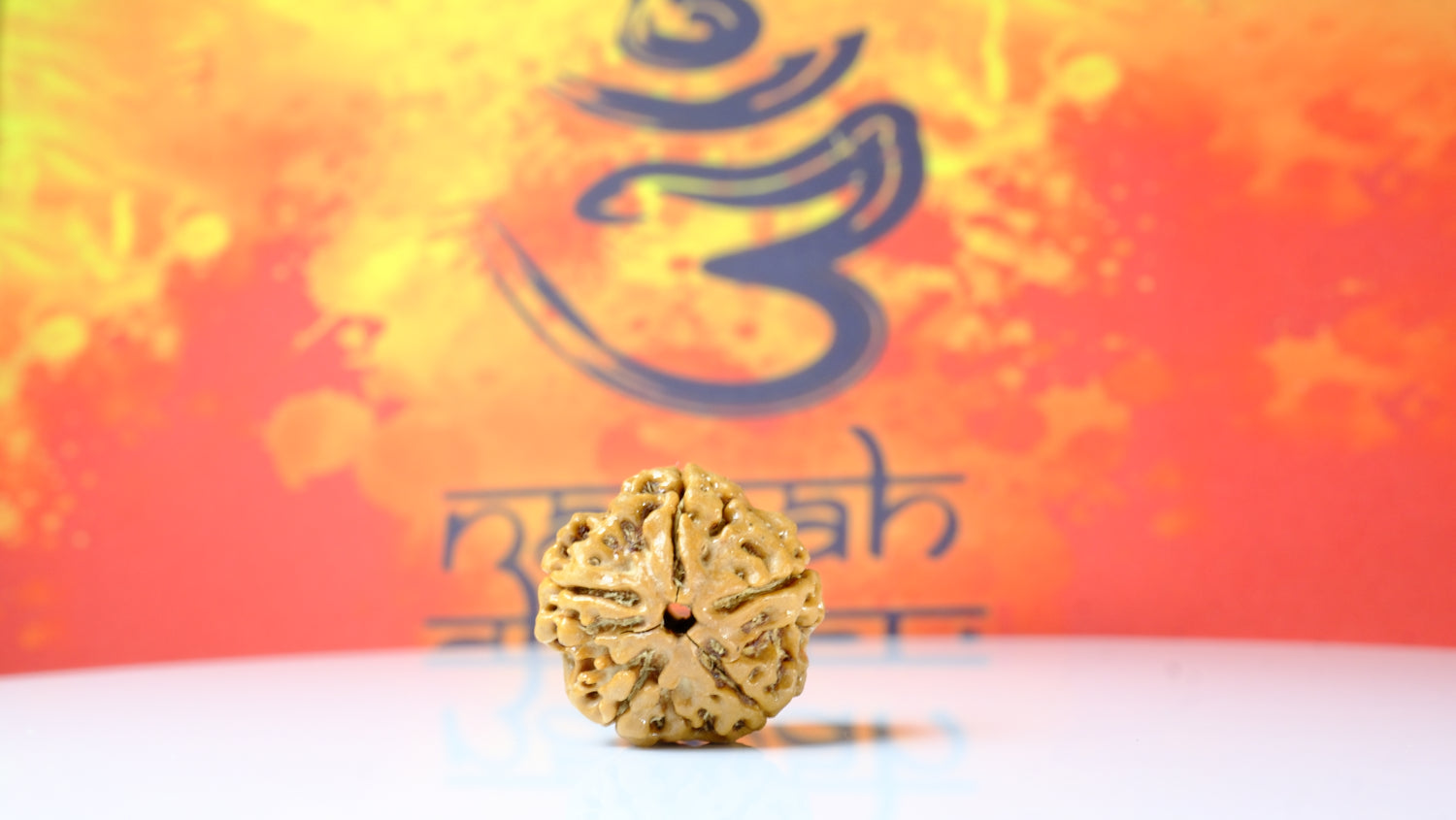 5 Mukhi Rudraksha