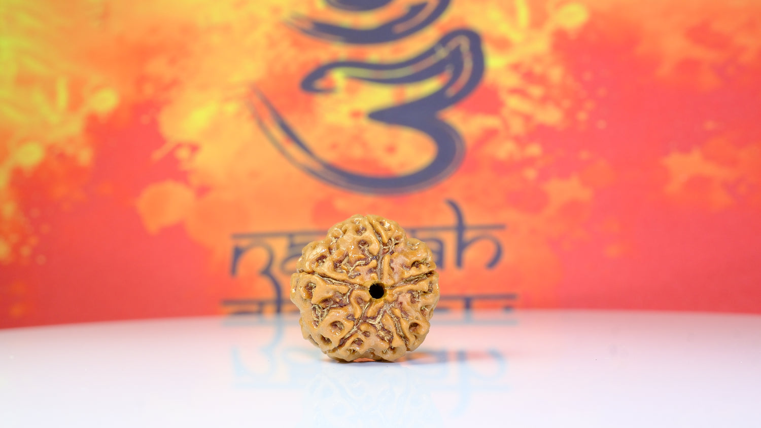 5 Mukhi Rudraksha