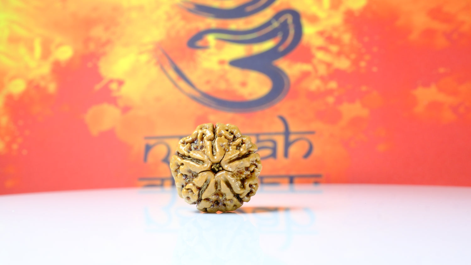 5 Mukhi Rudraksha