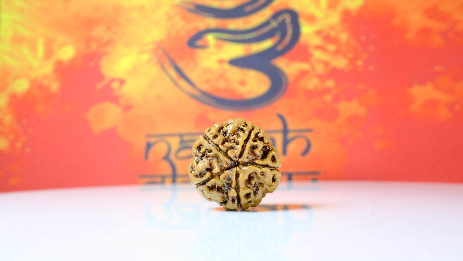 5 Mukhi Rudraksha