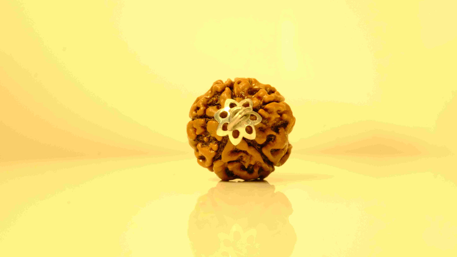 5 Mukhi Nepali Rudraksha with Silver Capping
