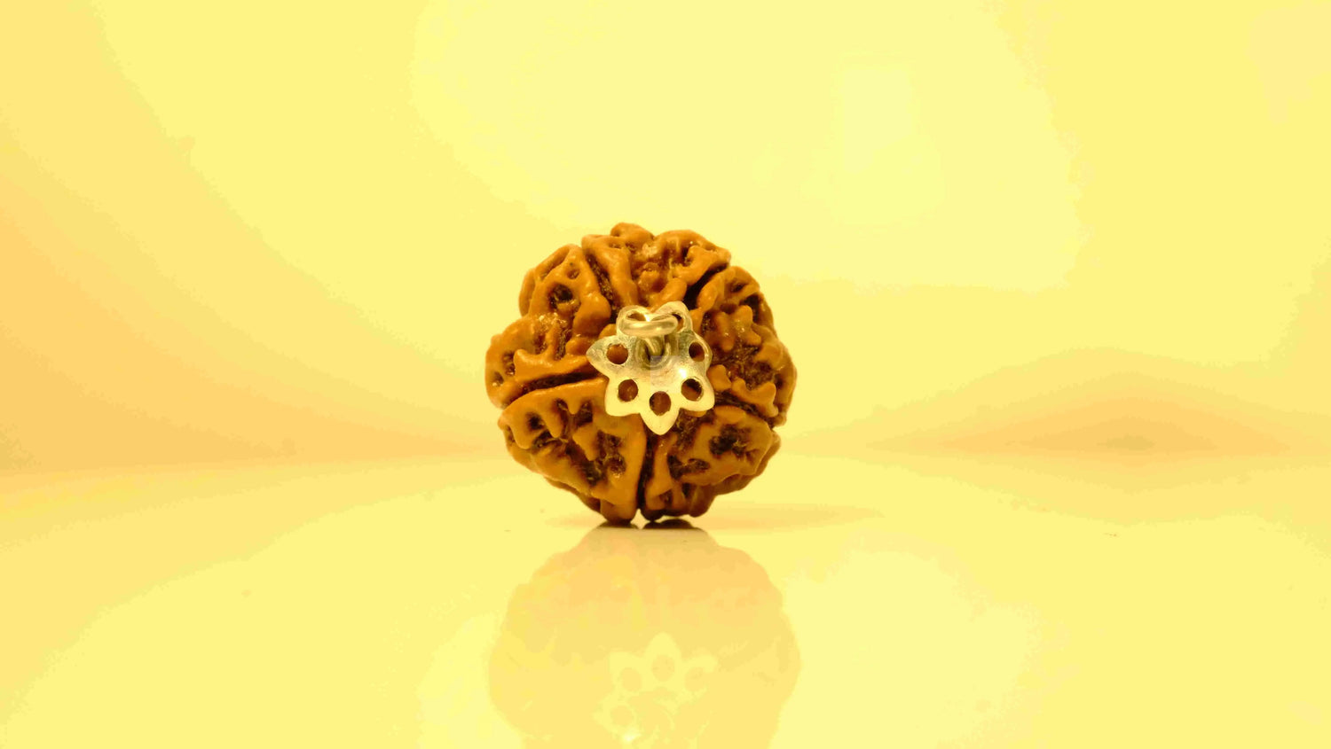 5 Mukhi Nepali Rudraksha with Silver Capping Rudra Kailash