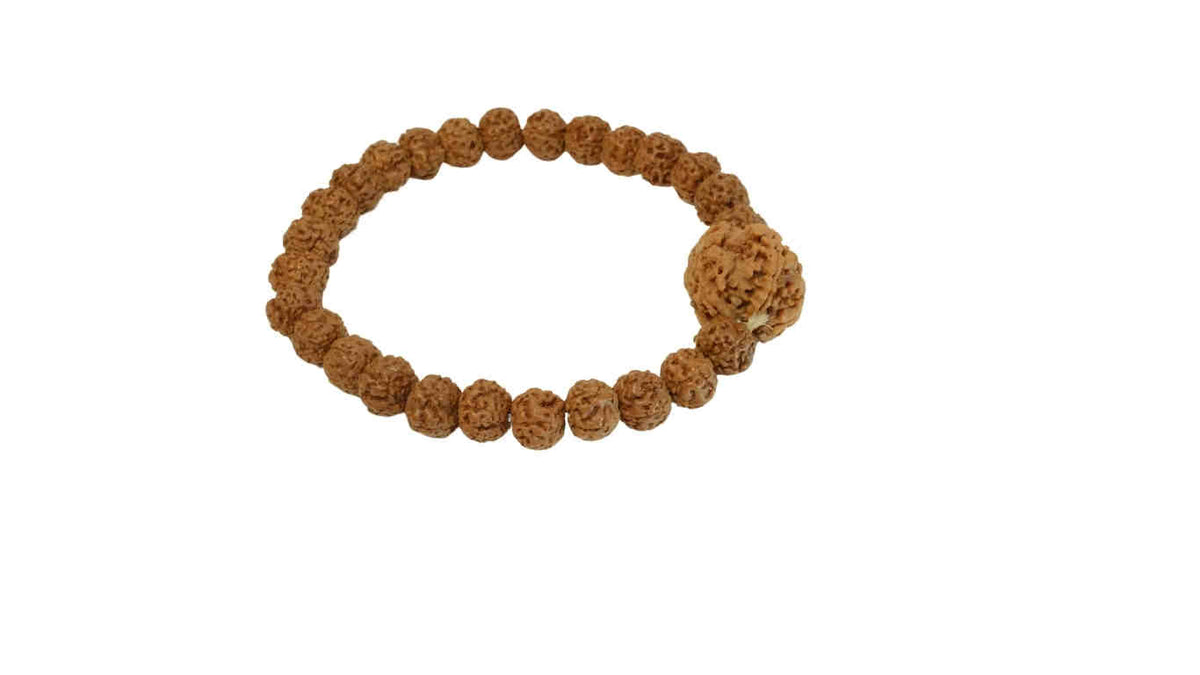 Five Mukhi Bracelet - Rudra Kailash